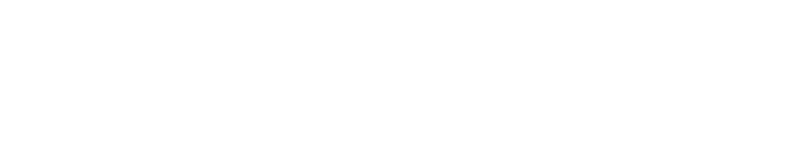 Jet Set Edit Logo